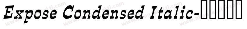 Expose Condensed Italic字体转换